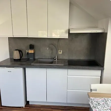 Willa Sarbinowo 民宿