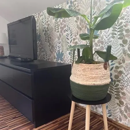 홈스테이 Willa Sarbinowo