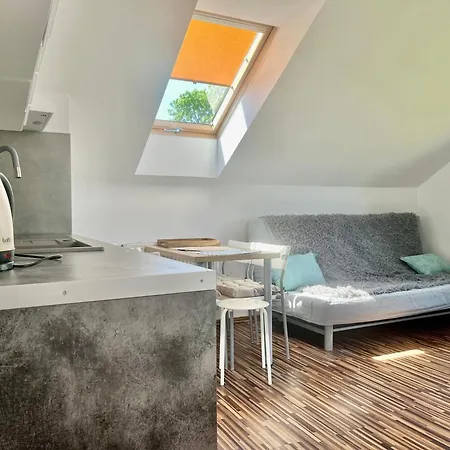 Willa Sarbinowo 民宿 萨比诺瓦