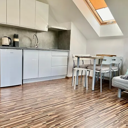 Willa Sarbinowo 民宿 *