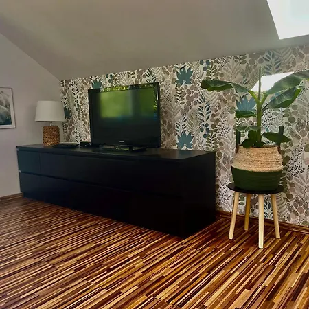 Willa Sarbinowo 民宿